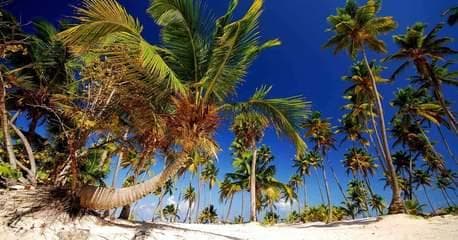 Punta Cana - Enero 2027 - Imagen 3