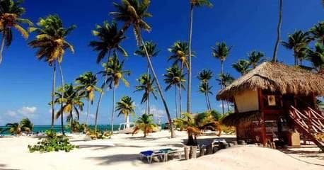 Punta Cana - Enero 2027 - Imagen 2